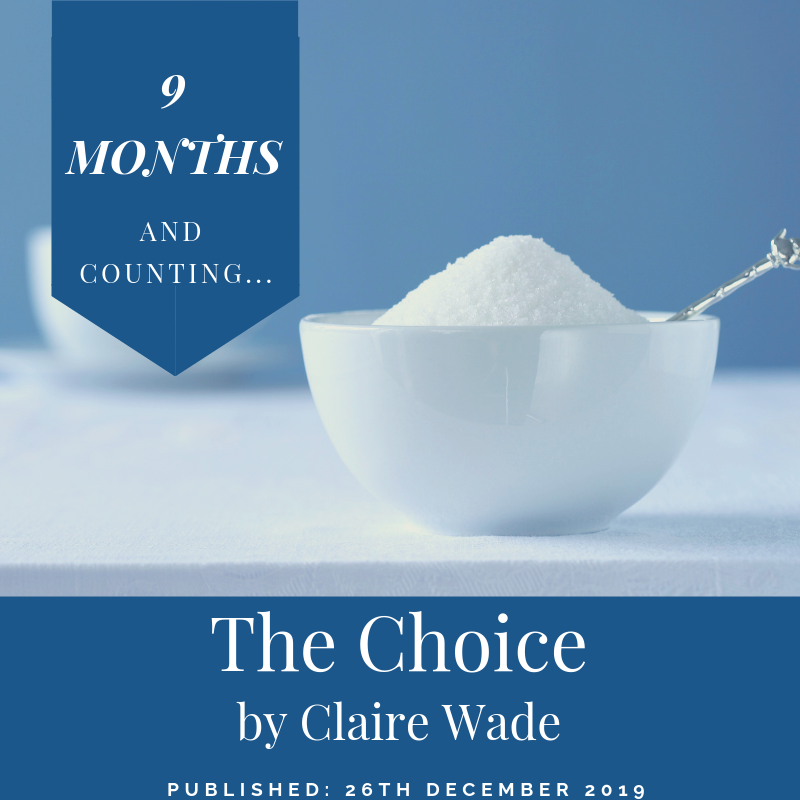 9  months and counting down until the release of The Choice by Claire Wade