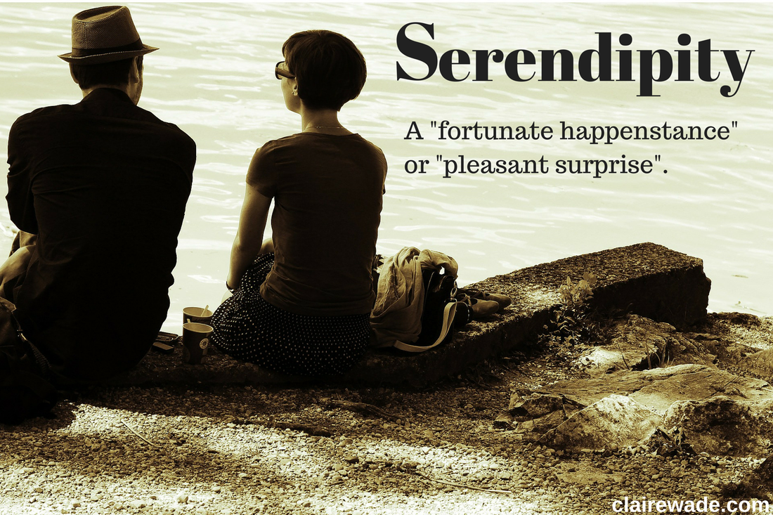 Serendipity means a fortunate happenstance or pleasant surprise. It was coined by Horace Walpole in 1754. 